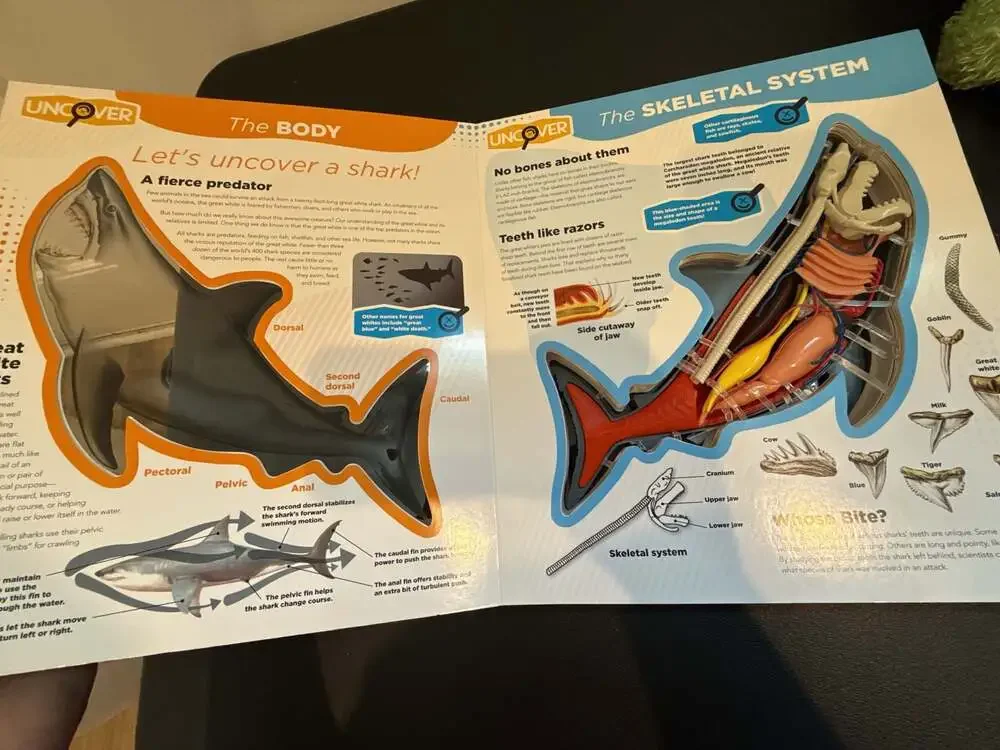 Uncover a Shark by David George Gordon (Hardcover Book with 3D Anatomy Model)